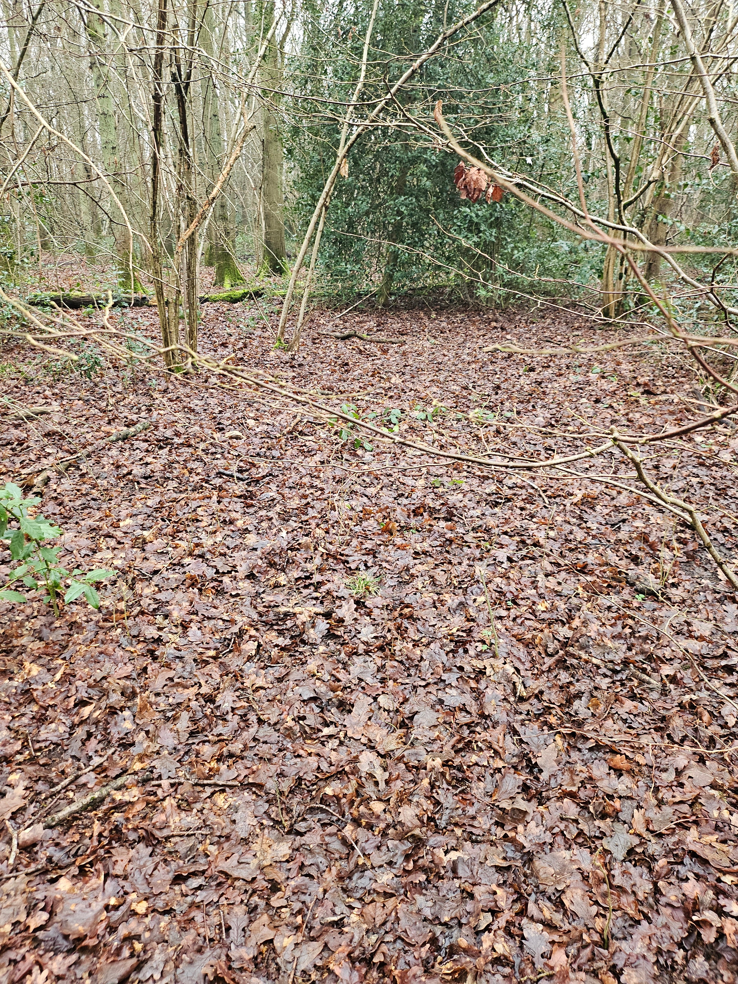 Gallery Image1